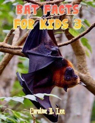 Book cover for Bat Facts For Kids 3