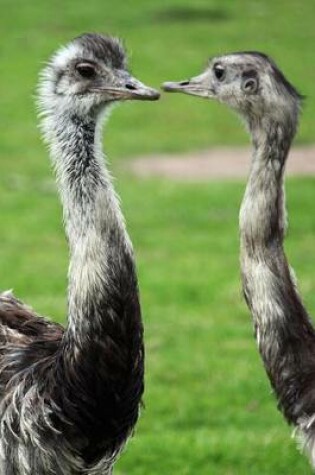 Cover of A Pair of Ostriches Flightless Bird Journal