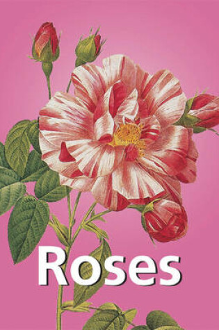 Cover of Roses