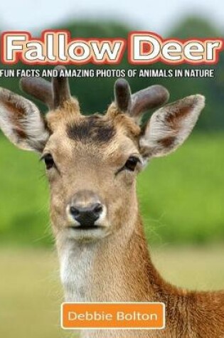 Cover of Fallow Deer