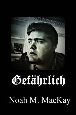 Book cover for Gefaehrlich