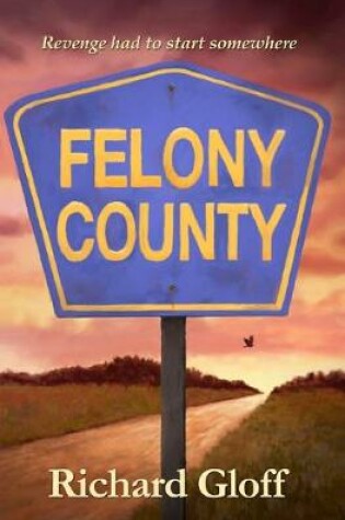 Cover of Felony County