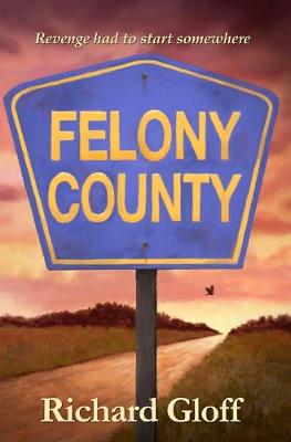 Book cover for Felony County