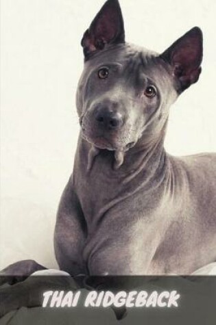 Cover of Thai Ridgeback