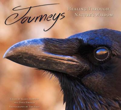 Book cover for Journeys