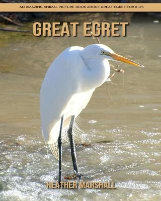 Book cover for Great Egret