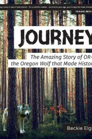 Cover of Journey