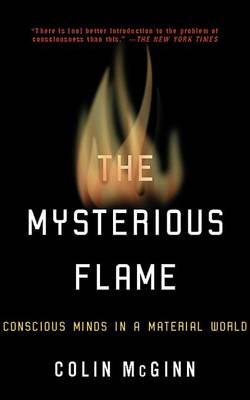 Book cover for The Mysterious Flame