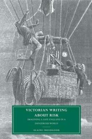 Cover of Victorian Writing about Risk