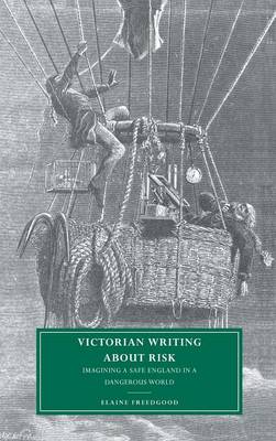 Book cover for Victorian Writing about Risk