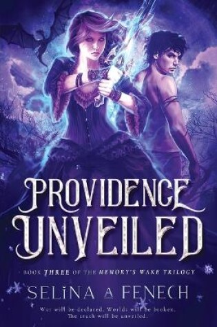 Cover of Providence Unveiled