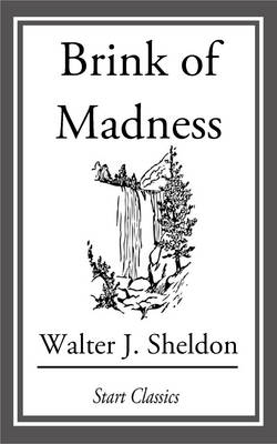 Book cover for Brink of Madness