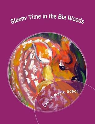 Book cover for Sleepy Time in the Big Woods