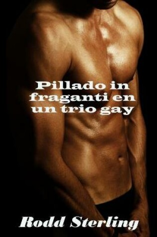 Cover of Pillado in fraganti en un trio gay