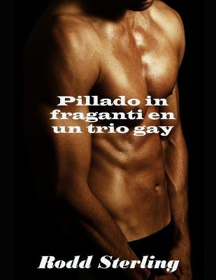 Book cover for Pillado in fraganti en un trio gay