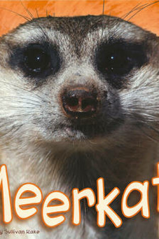 Cover of Meerkats