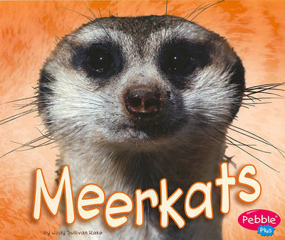 Book cover for Meerkats