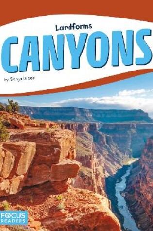 Cover of Canyons