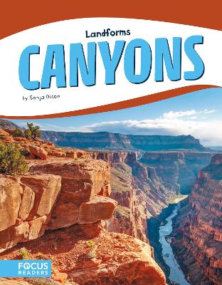 Book cover for Canyons