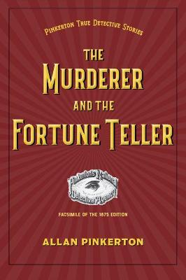 Book cover for The Murderer and the Fortune Teller