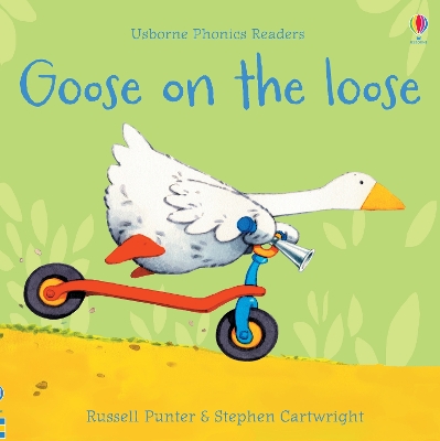 Book cover for Goose on the loose