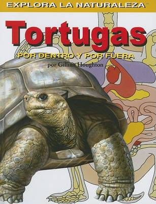 Book cover for Tortugas: Por Dentro Y Por Fuera (Turtles: Inside and Out)