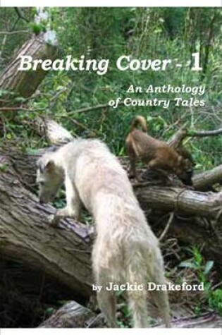 Cover of Breaking Cover - 1