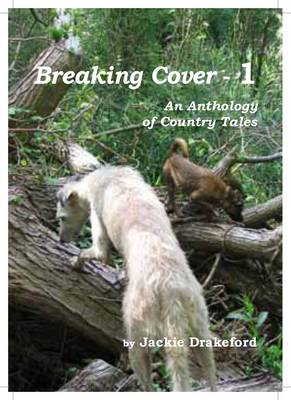 Book cover for Breaking Cover - 1