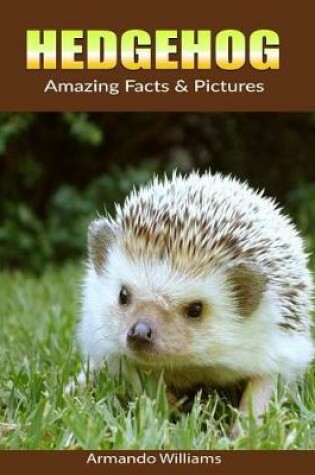 Cover of Hedgehog