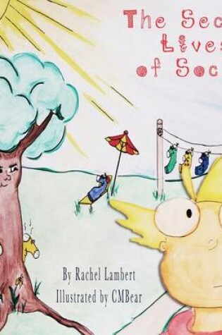 Cover of The Secret Lives of Socks