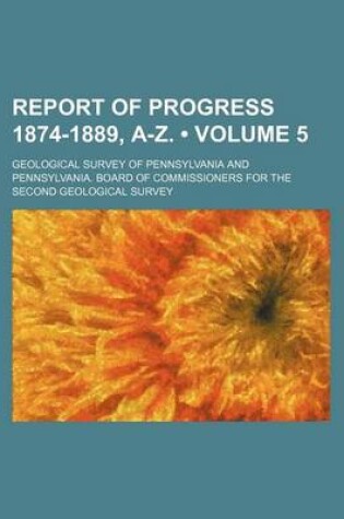 Cover of Report of Progress 1874-1889, A-Z. (Volume 5)