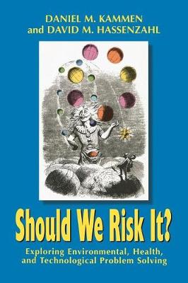 Book cover for Should We Risk It?