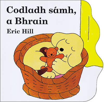 Book cover for Codladh Samh a Bhrain