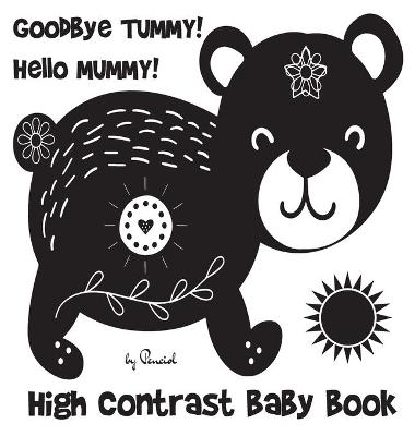 Book cover for High Contrast Baby Book