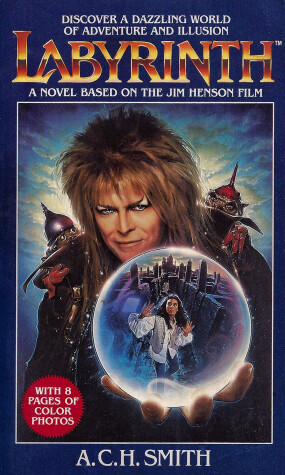 Book cover for Labyrinth