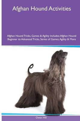 Book cover for Afghan Hound Activities Afghan Hound Tricks, Games & Agility. Includes