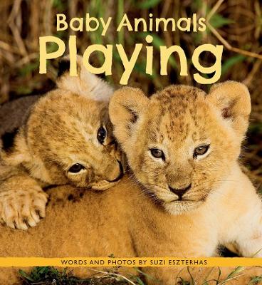 Book cover for Baby Animals Playing