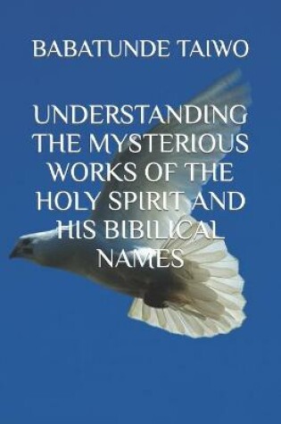 Cover of Understanding the Mysterious Works of the Holy Spirit and His Bibilical Names
