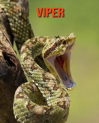 Book cover for Viper