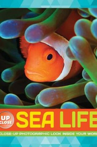 Cover of Sea Life