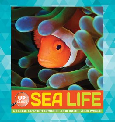 Cover of Sea Life