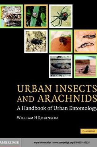 Cover of Urban Insects and Arachnids