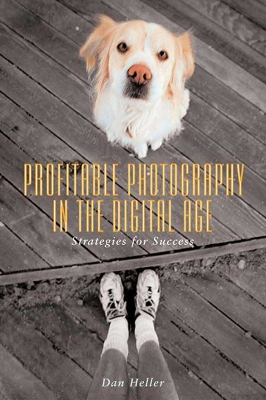 Book cover for Profitable Photography in Digital Age