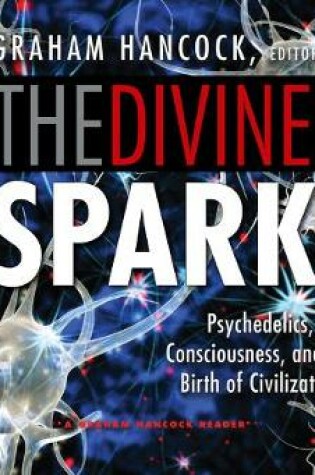 Cover of The Divine Spark