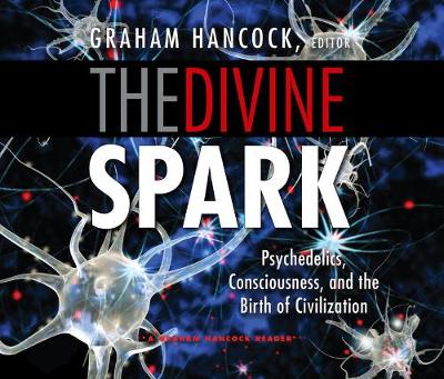 Book cover for The Divine Spark