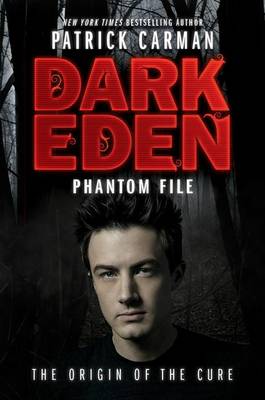 Book cover for Phantom File
