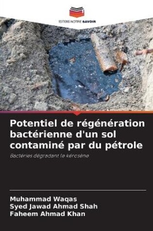 Cover of Potentiel de régénération bactérienne d'un sol contaminé par du pétrole