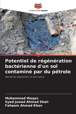 Book cover for Potentiel de régénération bactérienne d'un sol contaminé par du pétrole