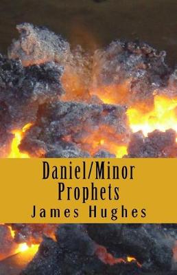 Book cover for Daniel;Minor Prophets