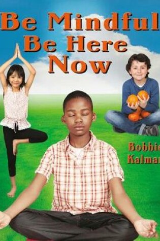 Cover of Be Mindful! Be Here Now